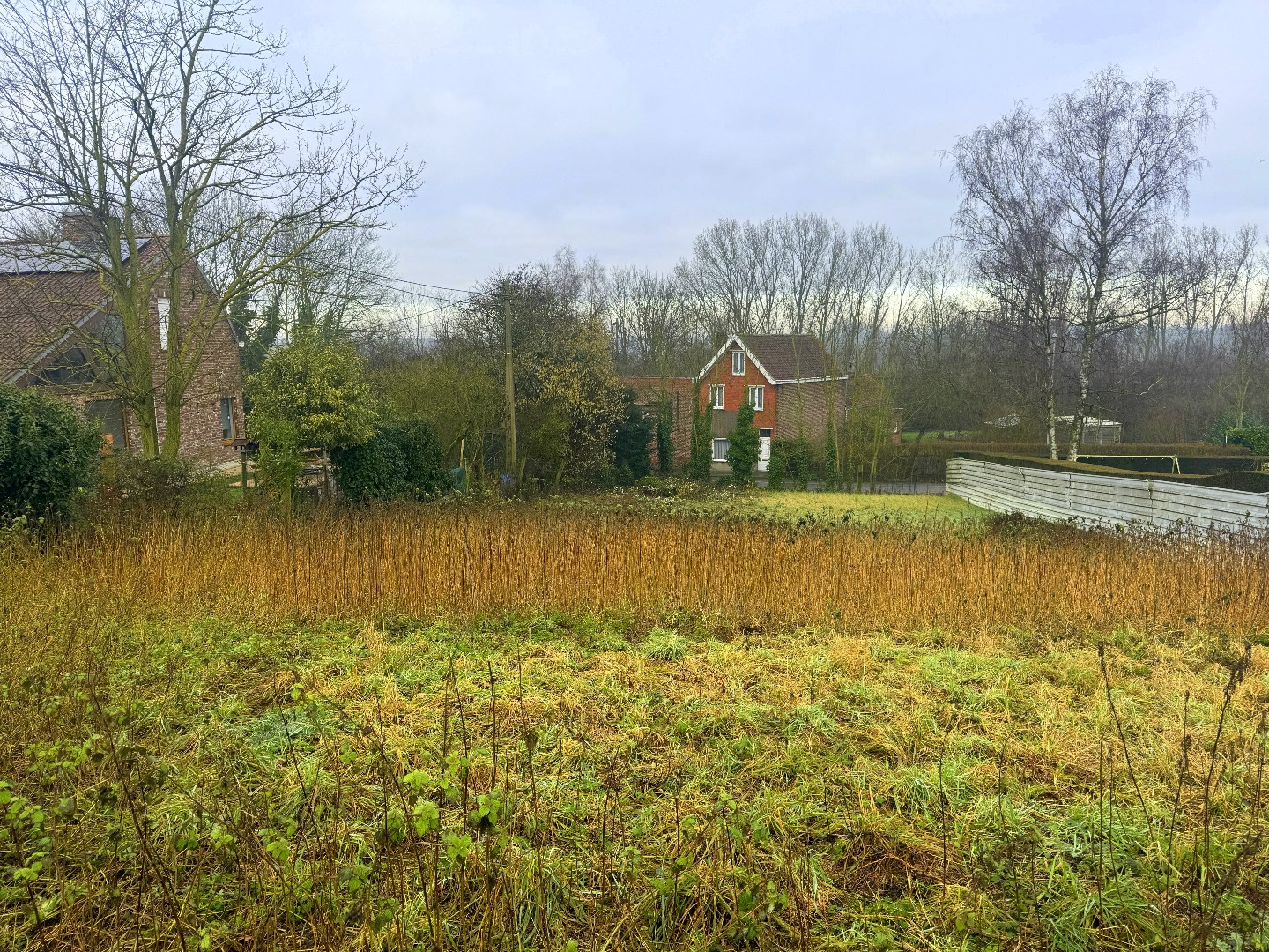 Land for sale in Lauwe - photo 4