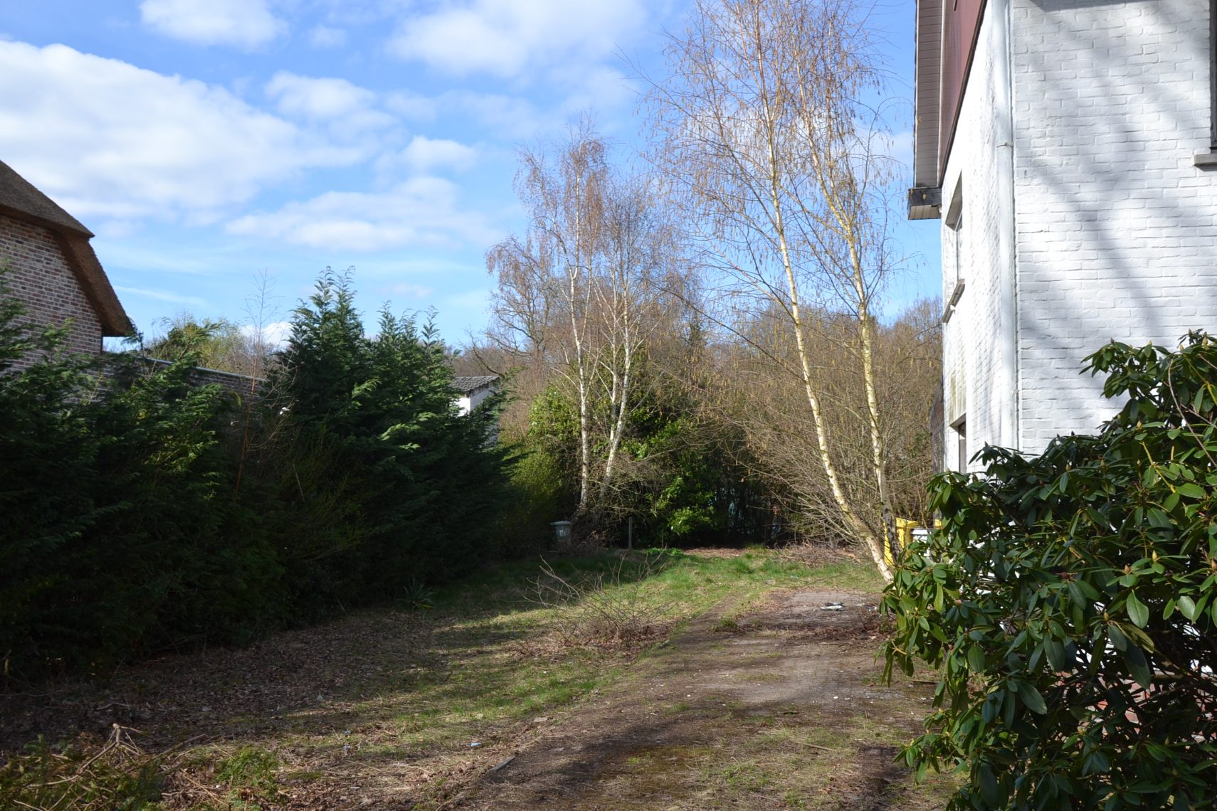 Huis te koop in Westerlo met 3 slaapkamers - foto 3