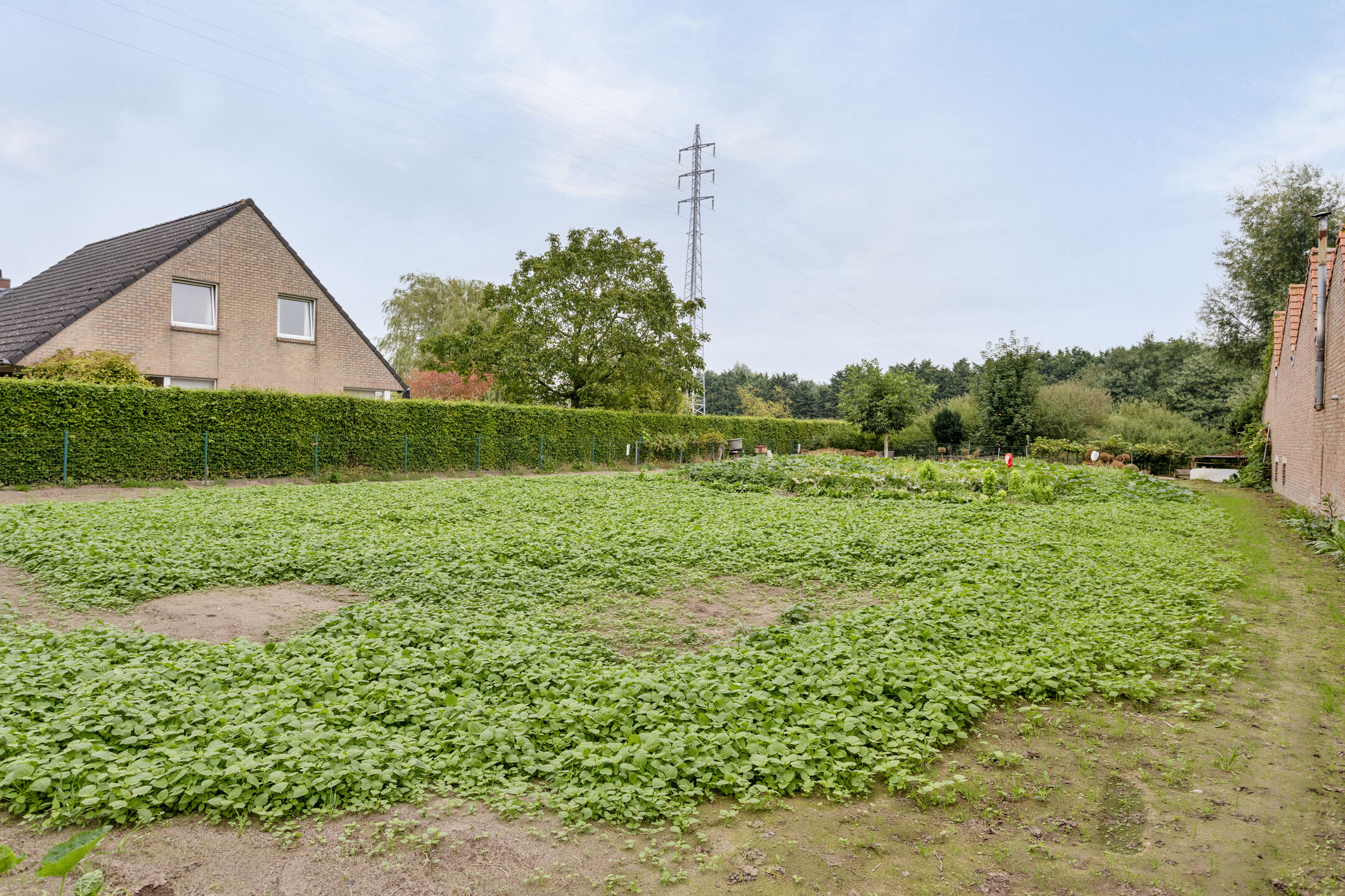 Bouwgrond geschikt voor open bebouwing in Wielsbeke - foto 3