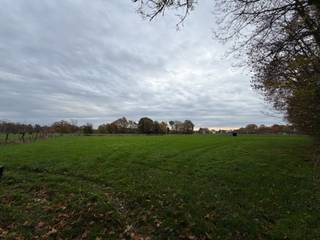 Landbouwgrond / Weide te koop – 22.359 m²!Ontdek deze prachtige in blok gelegen weide van maar liefst 22.359 m². De grond is gunstig gelegen, vlot...