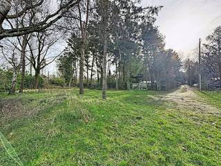 Deze grond is rustig gelegen aan de Cassiedreef en biedt een oppervlakte van 997 m².Het perceel bevindt zich in landschappelijk waardevol agrarisch gebied, dit betreft geen bouwgrond!Interesse in dit perceel?Vraag meer informatie aan via veerle.pierar@dewaele.com of 03/369.42.50.(ver-)Kopen of (ver-)huren in de Noorderkempen?Met vragen kan u altijd bij ons terecht!Dewaele VastgoedBestuursmaatregelen in het maatregelenregister: nee