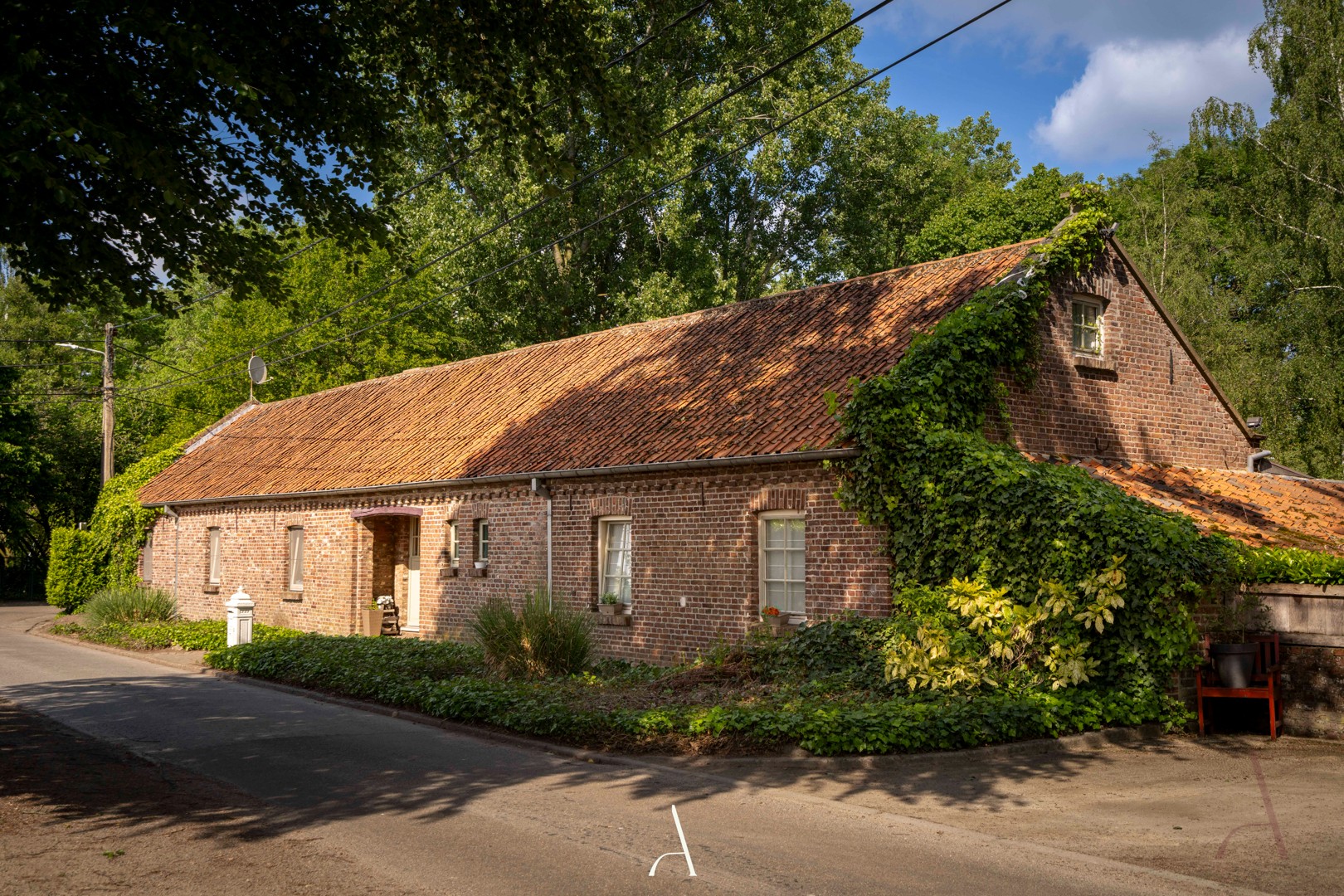 Maison à vendre à Molenbeersel avec 5 chambres - photo 3