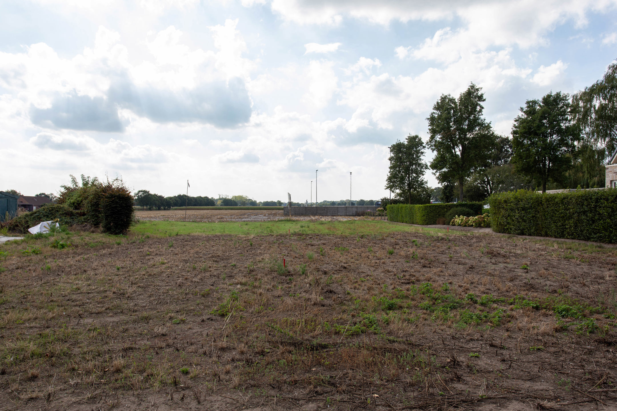 Grond te koop in Kalmthout - foto 1