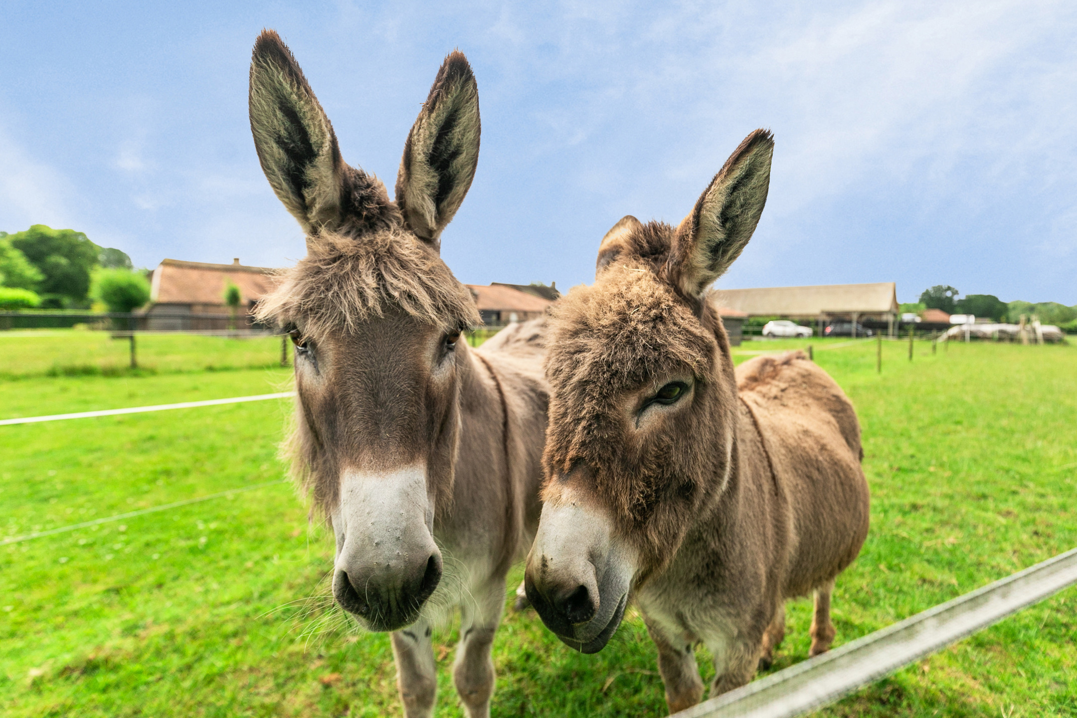 Huis te koop in Hoogstraten met 4 slaapkamers - foto 4