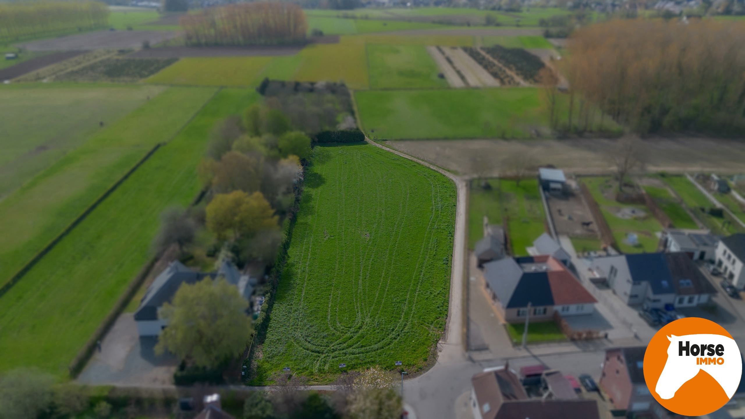 NIEUWERKERKEN - Uniek gelegen bouwgrond op 42a voor OB - foto 2