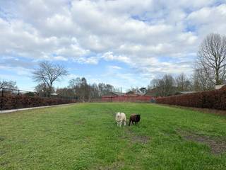 In het hart van de Ponjaard, een van de meest gegeerde en rustige plekjes van Melsele, bevindt zich deze prachtige bouwgrond in woongebied met landelijk karakter. Een omgeving waar open ruimte, groen en stilte nog vanzelfsprekend zijn, en waar wonen gebeurt op het ritme van het dorp.<br /><br />De bouwgrond leent zich voor de realisatie van één stijlvolle eengezinswoning, perfect ingebed in het bestaande straatbeeld. Geen verdichting, geen appartementsbouw, maar duurzaam en harmonieus wonen met respect voor de landelijke omgeving.<br /><br />Achterliggend agrarisch gebied zorgt voor een blijvend open zicht en privacy, terwijl alle voorzieningen, verbindingswegen en het centrum van Melsele vlot bereikbaar blijven.<br /><br />Een unieke kans voor wie op zoek is naar rust, ruimte en kwaliteit, op een locatie waar zulke percelen zeldzaam zijn.
