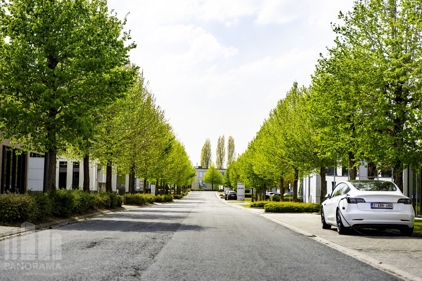 240 m² stylish offices near the Leuvense Steenweg - photo 5