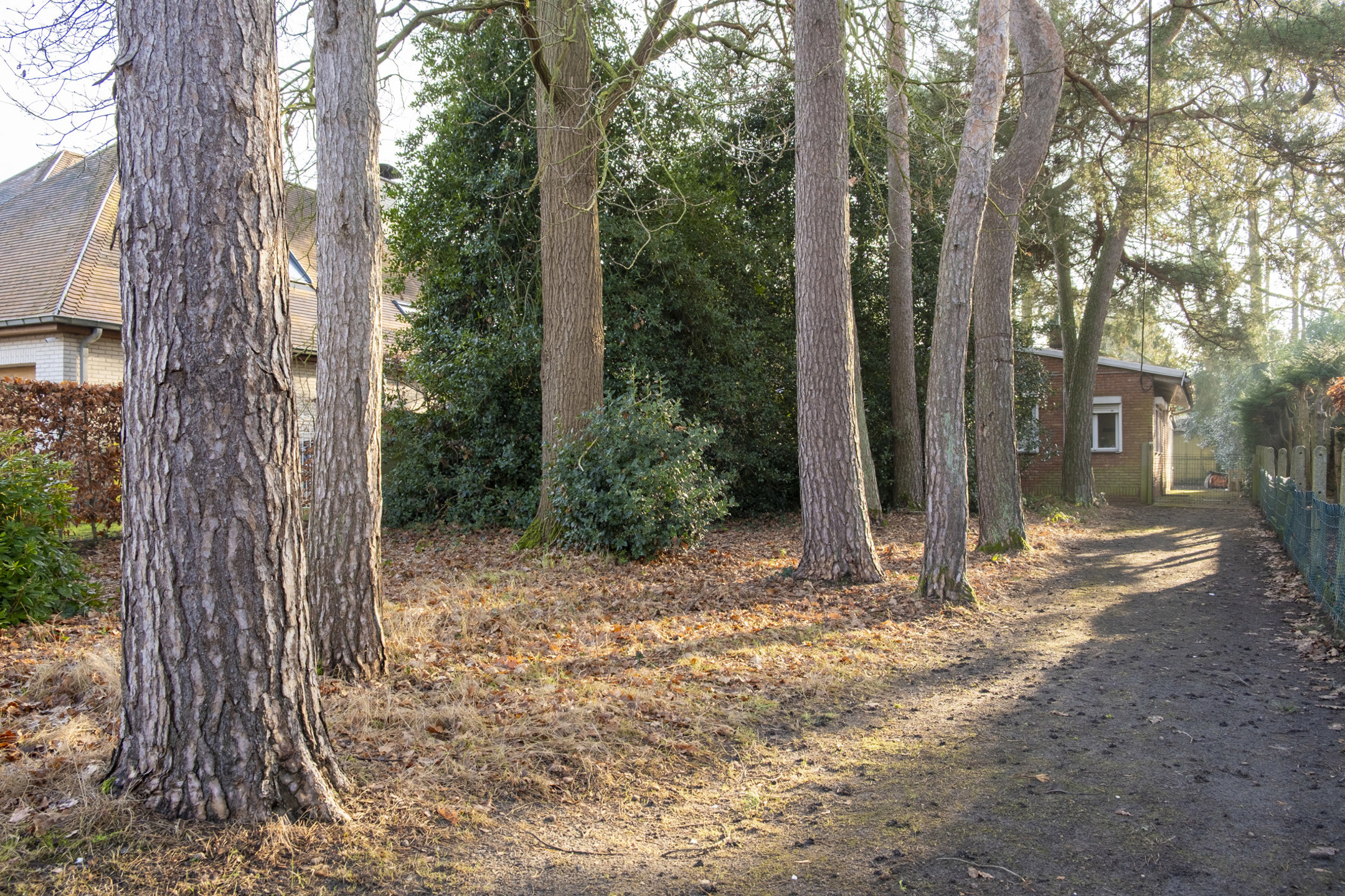 Unieke laagbouw woning in doodlopende straat in BONHEIDEN - foto 3