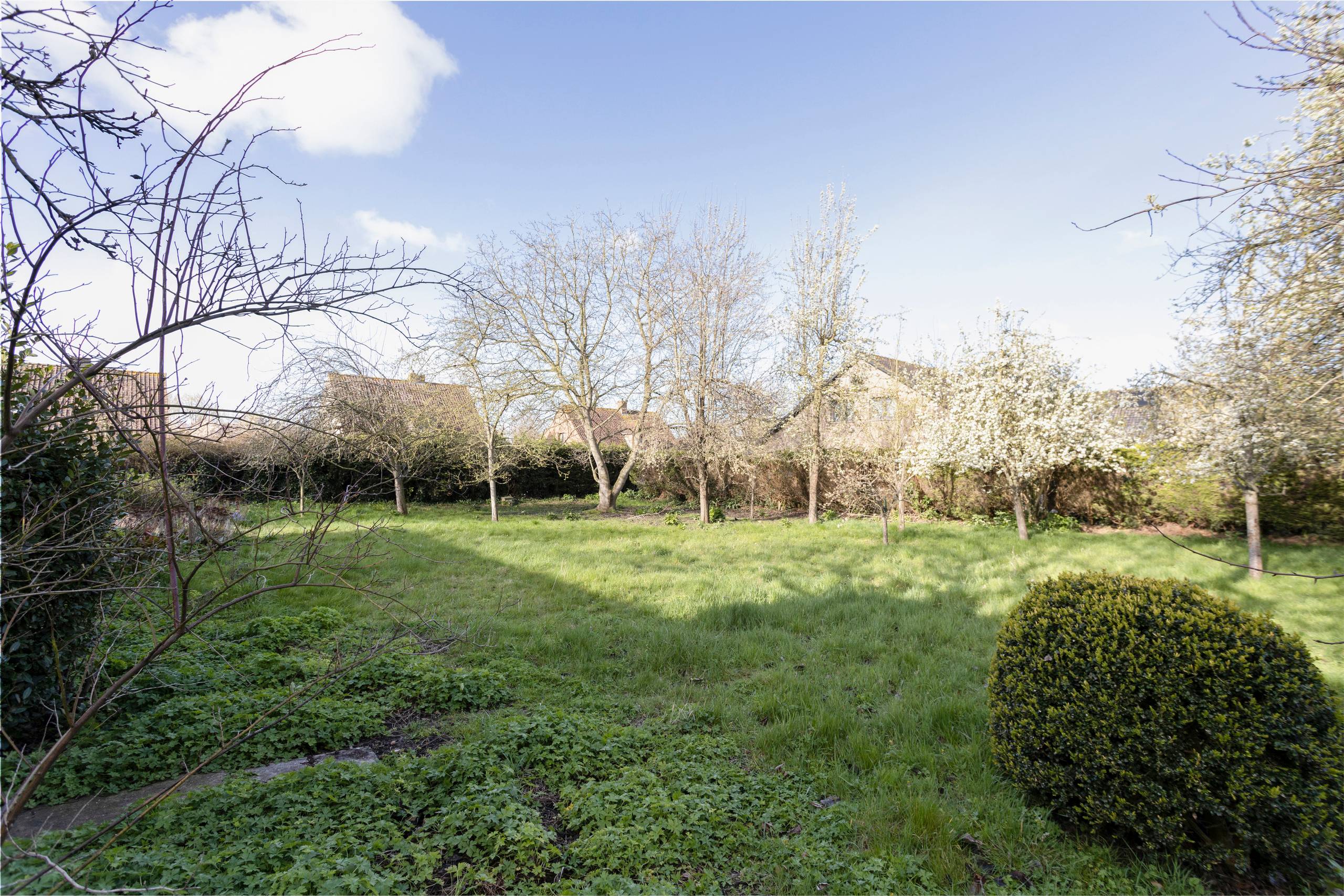 Bouwgrond nabij centrum Veurne - foto 4