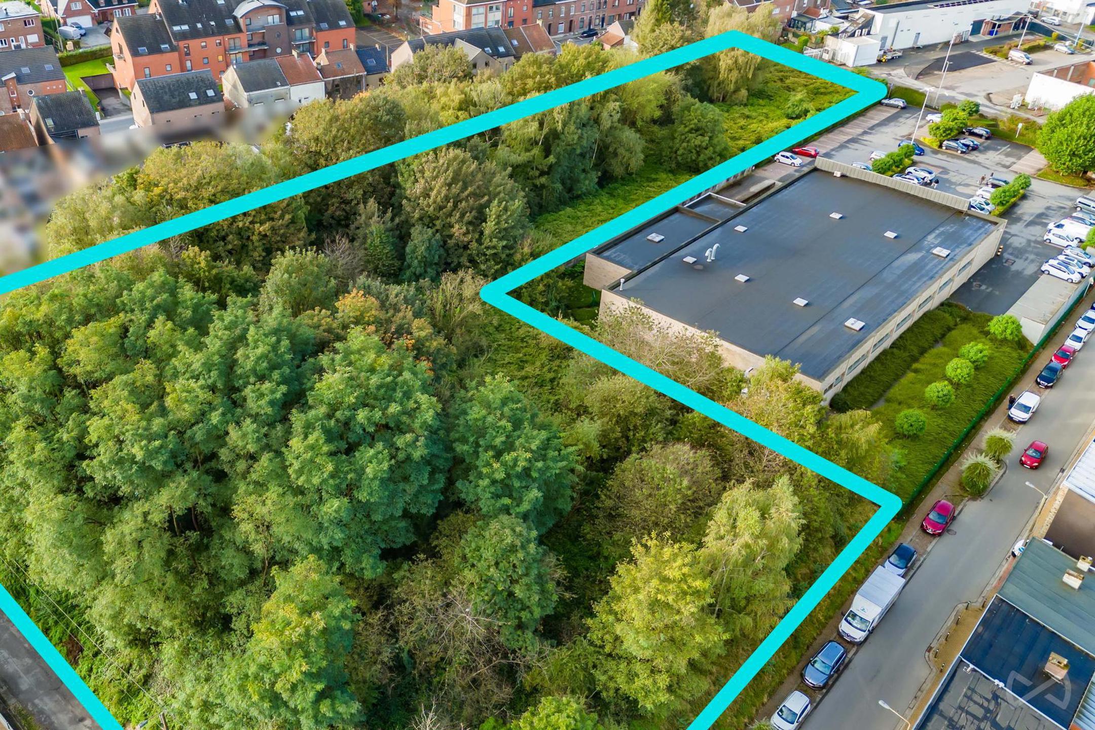 Grond te koop in Ransart - foto 2