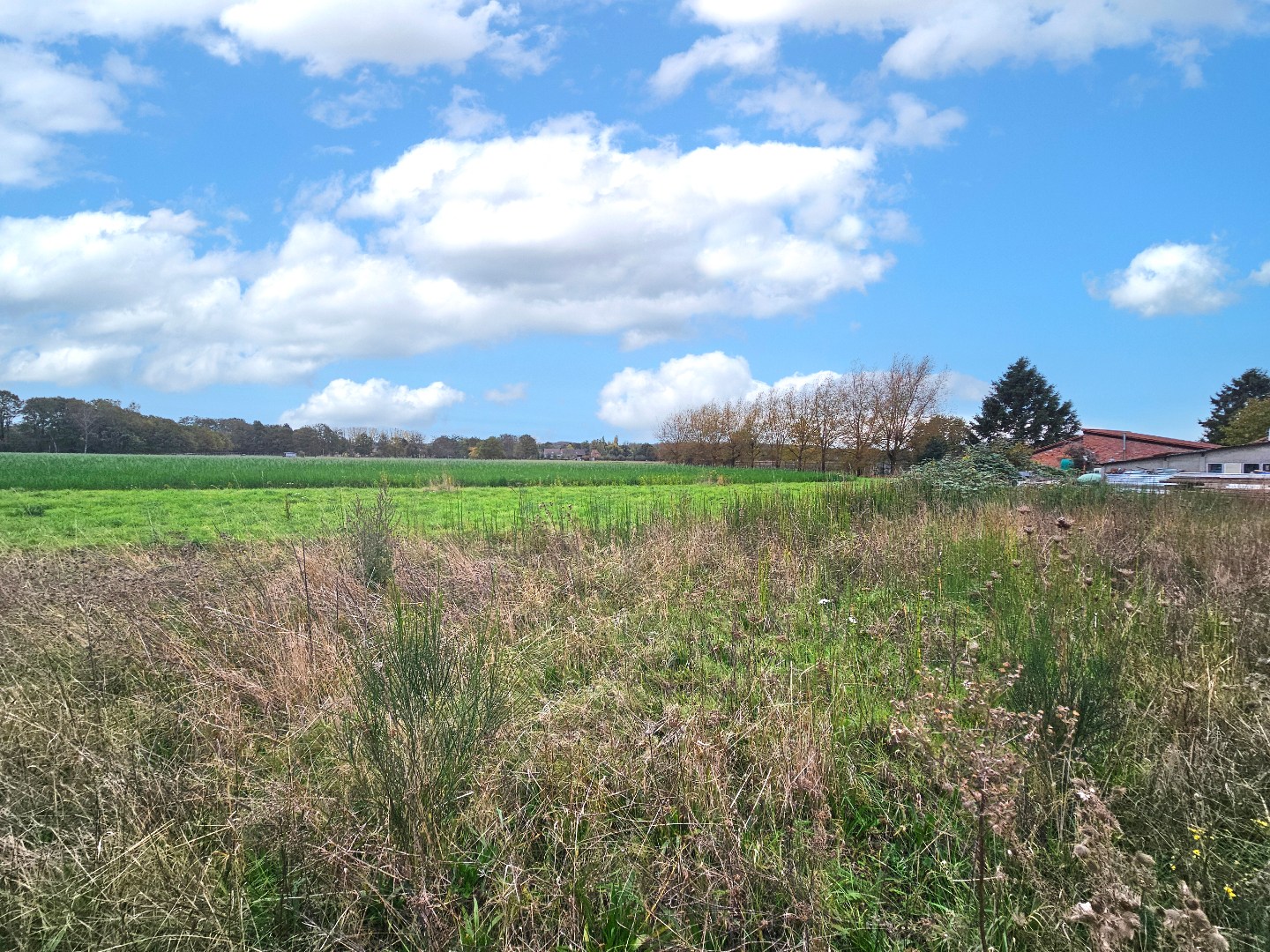 Land for sale in Begijnendijk - photo 5