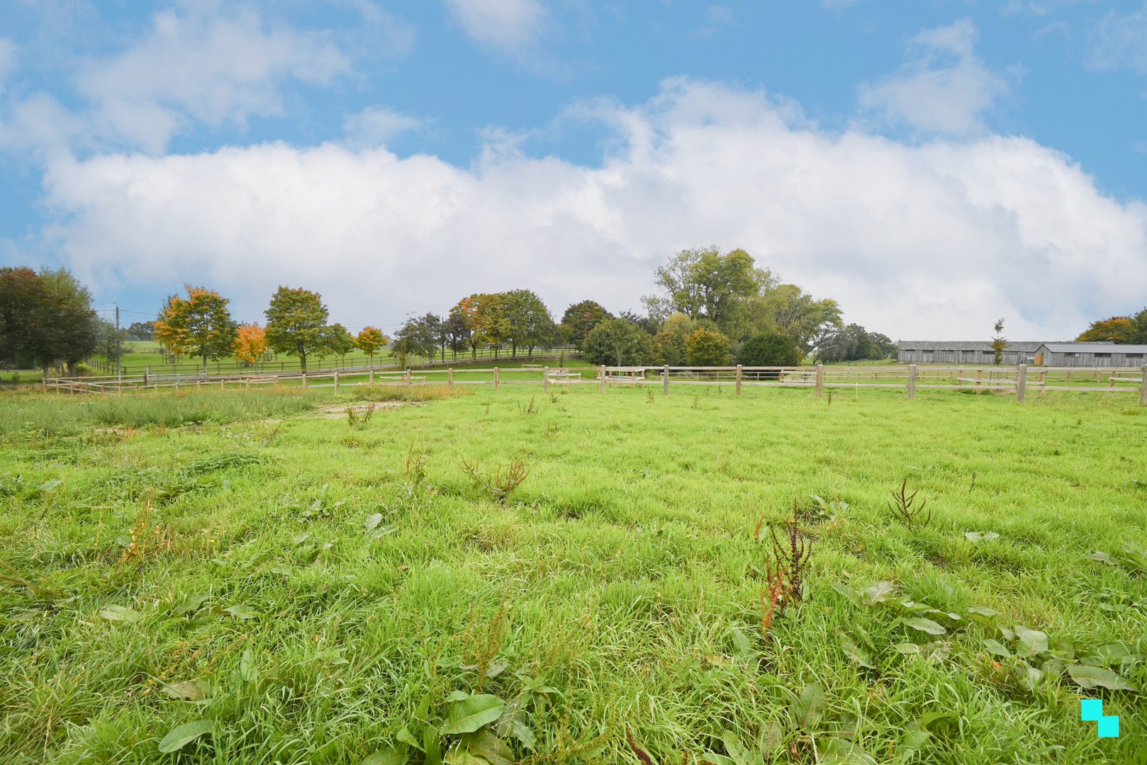 Bouwgrond met landelijk verzicht in De Ginste - foto 5