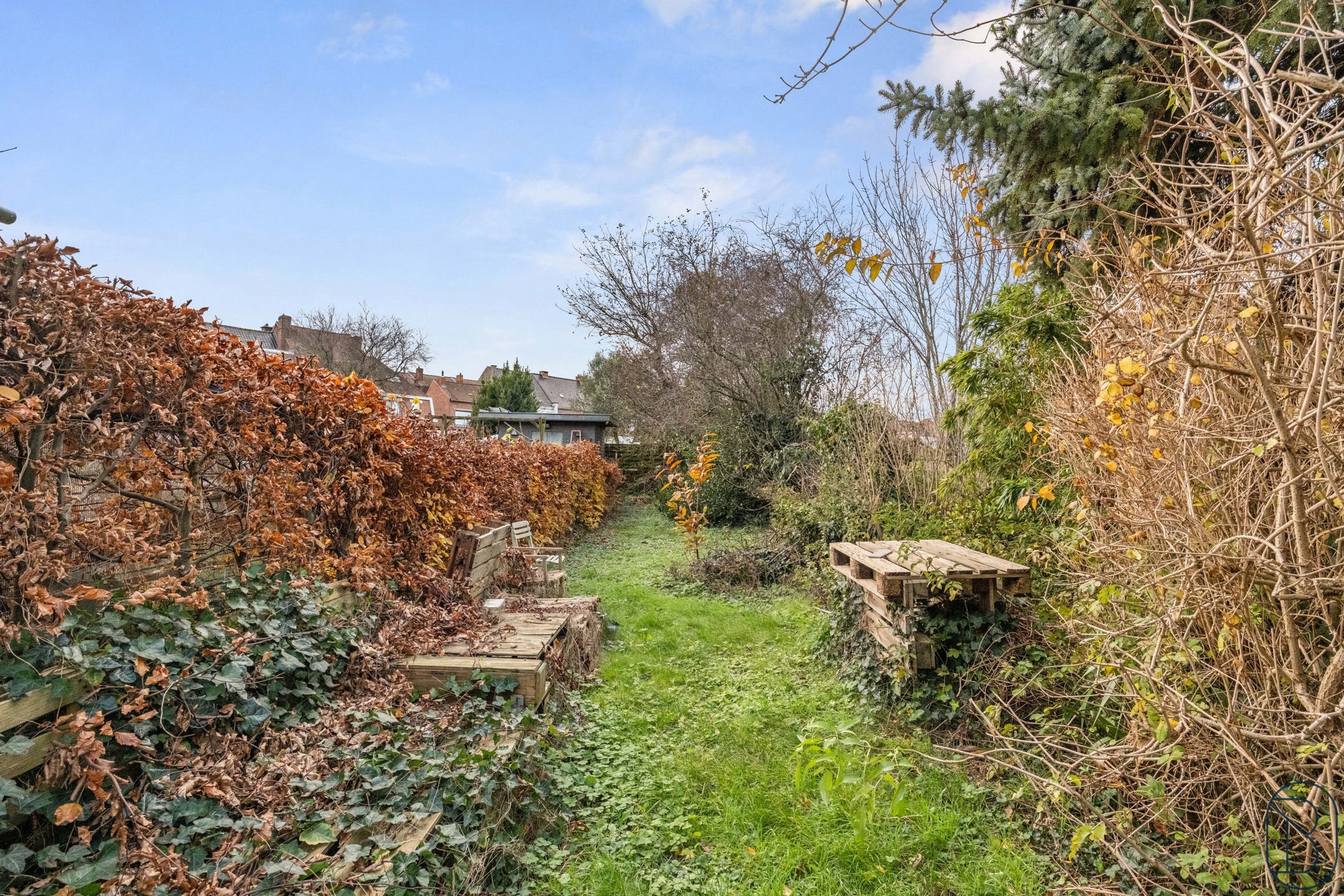 Leuke woning met 4 slk en grote tuin. - foto 3