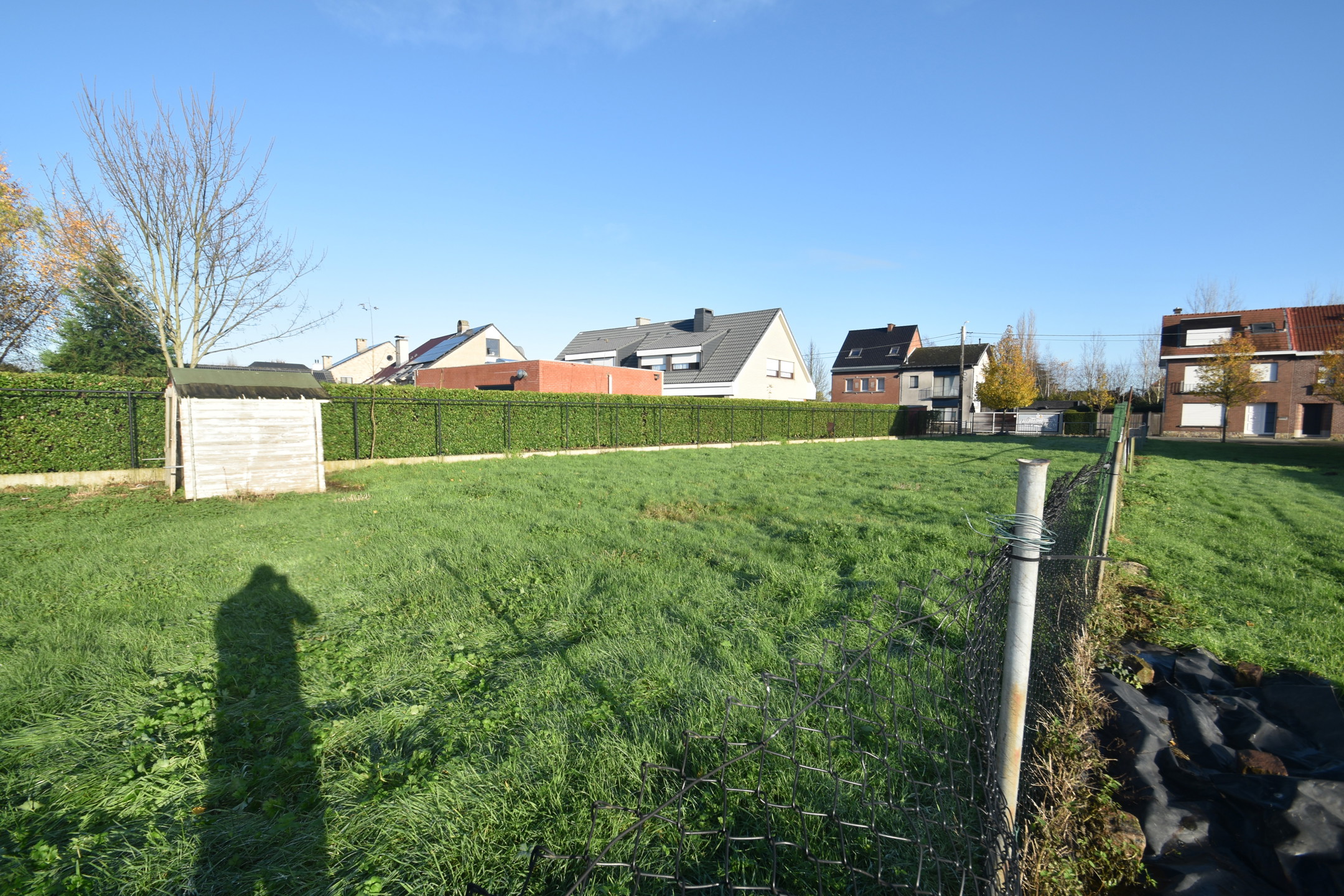 Land for sale in Lebbeke - photo 3