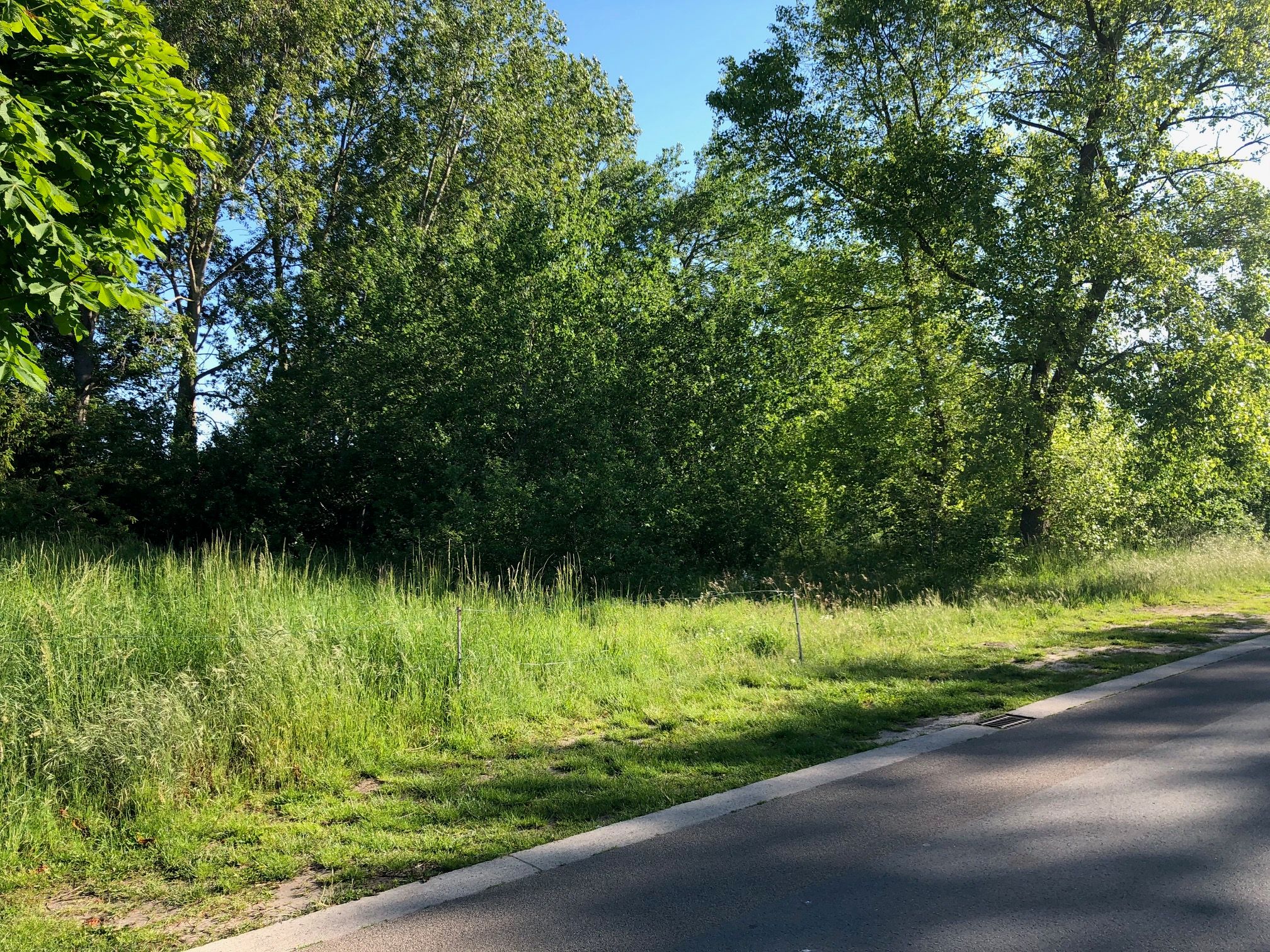 Grond Te Koop Koksijde - foto 4