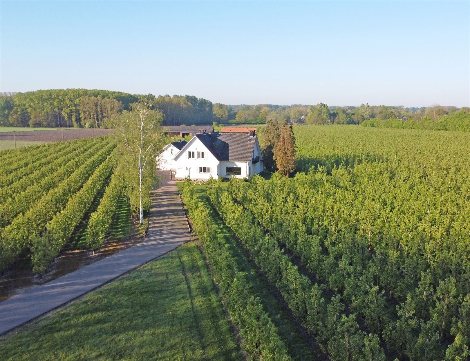 House for sale in Hasselt