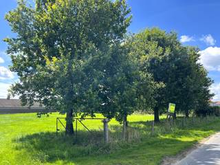 heel rustig gelegen perceel bouwgrond van 767 m² groot<br />met perfecte zon-oriëntatie en met zicht op de velden<br />gelegen in een rustige landelijke straat vlakbij de dorpskern van Jonkershove<br /><br />stedenbouwkundige bouwvoorschriften :
<ul>
	<li><span>de verkaveling werd opgemaakt voor 2 loten halfopen bebouwing</span></li>
	<li><span>het peil van het gelijkvloers moet min. 0,25 m hoger zijn dan de aanpalende wegenis</span></li>
	<li><span>de koppelwoningen dienen harmonisch op elkaar aan te sluiten</span></li>
	<li><span>1 of 2 bouwlagen met dakverdieping is toegestaan</span></li>
	<li><span>de bebouwde oppervlakte moet binnen de max. aangeduide zone liggen met een max. bouwdiepte van 15 m voor het gelijkvloers en 12 m voor de verdieping</span></li>
	<li><span>min. 1 garage in de woning op het gelijkvloers is verplicht en/of 1 carport (naast de woning in de bouwvrije strook, mits toestemming van de buren)</span></li>
	<li><span>een bijgebouw in hout of in dezelfde materialen van het hoofdgebouw van max. 21 m² is toegestaan op min. 2 m van de grens in de achtertuin</span></li>
	<li><span>de gebruikte materialen dienen te passen in de omgeving. Uitgesloten zijn betonplaten industriebouw</span></li>
	<li><span>ieder perceel is verplicht een individuele RWA-leiding en DWA-leiding aan te leggen naar de riolering op de straat</span></li>
	<li><span>de afsluiting aan de zij- en achterkant mag bestaan uit houten panelen en/of levende hagen, geplastificeerde draad van max. 3 m hoog</span></li>
</ul>
