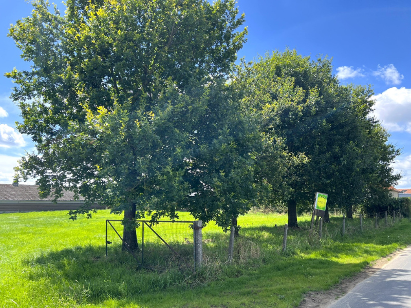 mooi perceel bouwgrond in Houthulst-Merkem - foto 1