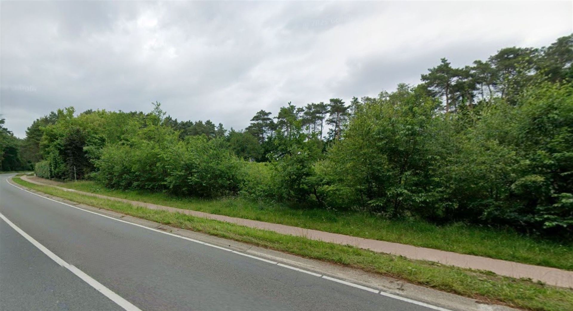 Te koop: Unieke bouwgrond van 28a22ca voor open bebouwing, straatbreedte 50m in residentiële, groene omgeving te Maasmechelen! - foto 1