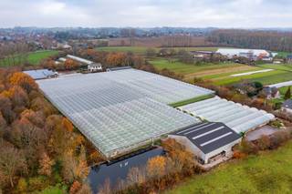 Bio gecertificeerd tuinbouwbedrijf te koop te Lennik met circa 16.000 m² verwarmde serres.Serres voorzien van betonpaden, beregening, verwarming via...