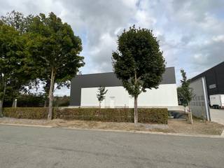 Commercial for rent in Maaseik