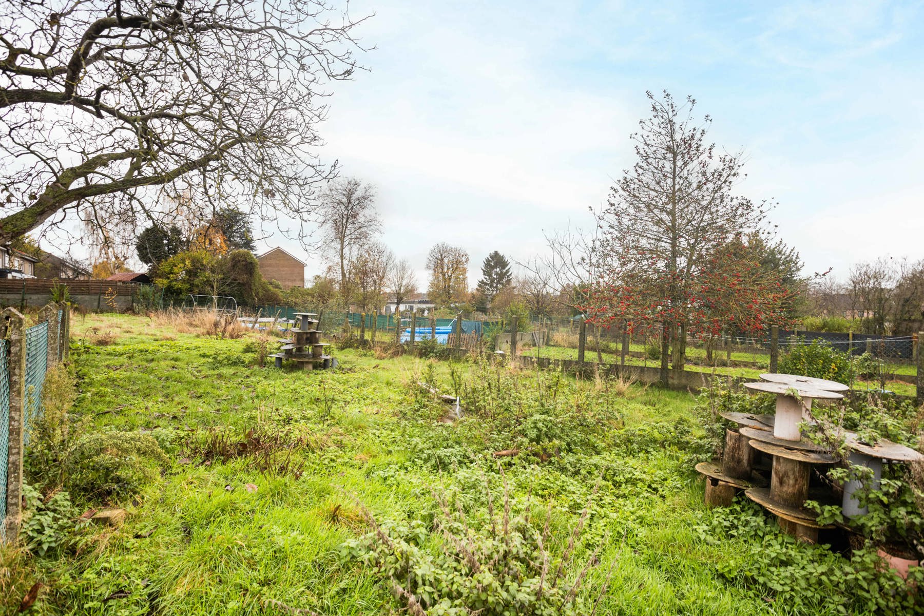 Polyvalente woning met groot magazijn! - foto 3