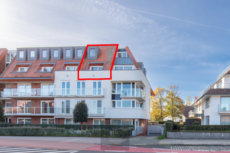 Recent duplex-appartement met één slaapkamer en slaaphoek. - foto 1