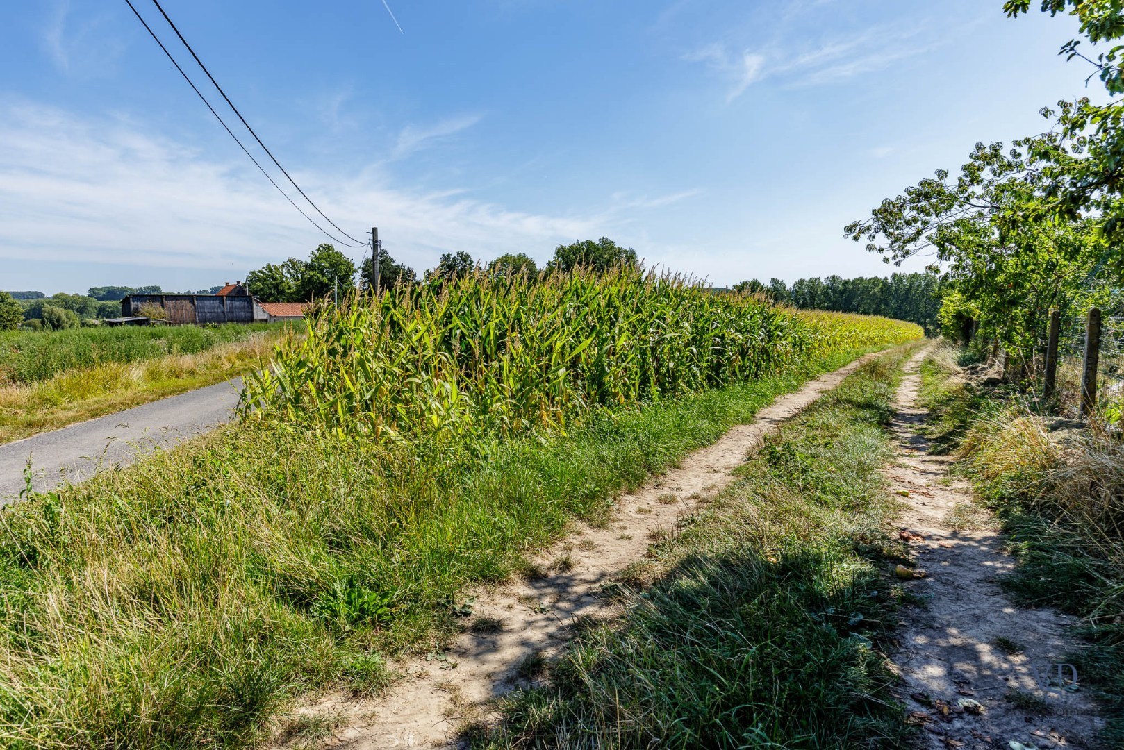 Land for sale in Michelbeke - photo 4