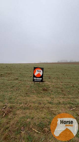 HERZELE - Landbouwgrond 46areDit perceel kunt u terugvinden onder HERZELE AFD8/St-Lievens-Esse, sectie: C, nummer: 985/00AP0000Verpacht en gelegen in...