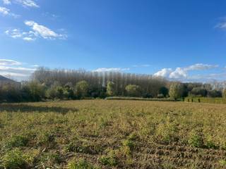 Land for sale in Lede