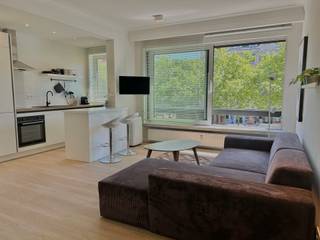 <p>Dit trendy gemeubeld studio-appartement van ca 55 m² is centraal gelegen aan de Britselei. Op de rand van het Zuid en de al even hippe ‘theaterbuurt’, is dit een werkelijke toplocatie in Antwerpen. Dankzij de ligging op de Leien en de aanwezigheid van de tramlijnen geniet dit appartement bovendien van een ideale bereikbaarheid.</p>
<p>De leefruimte met open keuken heeft zicht op de leien en heeft een mooie lichtinval dankzij de grote raampartijen.<br />De volledig geïnstalleerde keuken met eiland is, voorzien van koelkast met vriesvak, vaatwasser, inductievuur, oven, microgolfoven.<br /><br />De slaaphoek geeft voldoende privacy en is voorzien van dressingkast.<br />De badkamer is ruim met lavabomeubel, regendouche en een apart toilet.</p>
<p>Gemeenschappelijke lasten: 100 Euro per maand.<br />Provisie op verbruik van verwarming en water: 120 Euro per maand.<br />Elektriciteit is privé op te nemen door de huurder.</p>
<p>Beschikbaar vanaf 1 juli 2026.</p>
