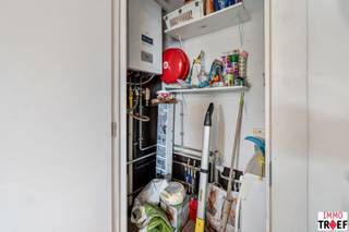Appartement à louer à Termonde