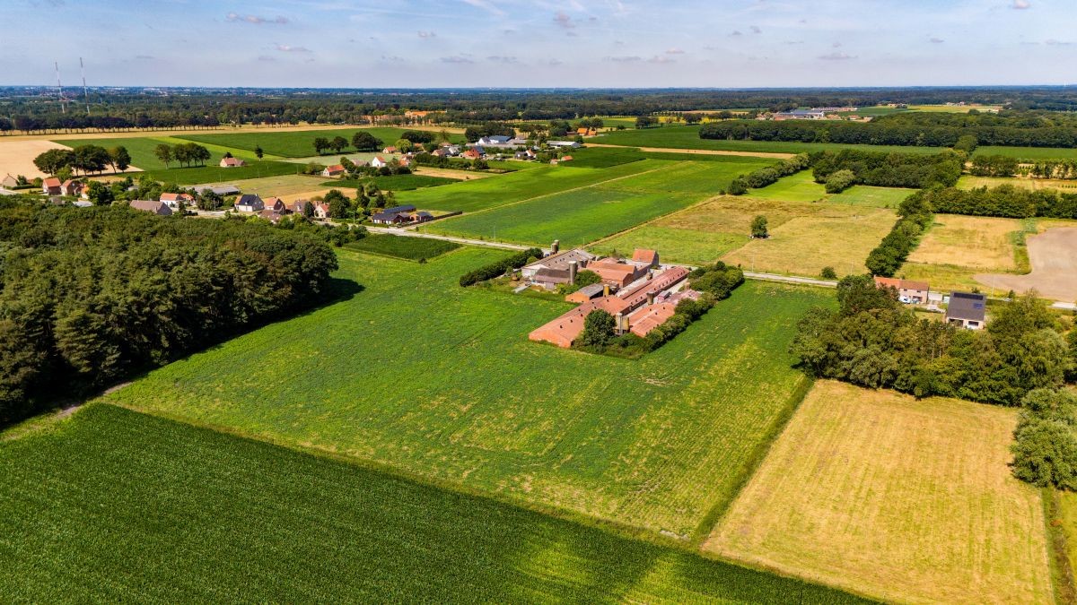 Hoeve te koop te Aalter (Maria-Aalter) - foto 5