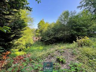 Grond te koop in 's-Gravenbrakel