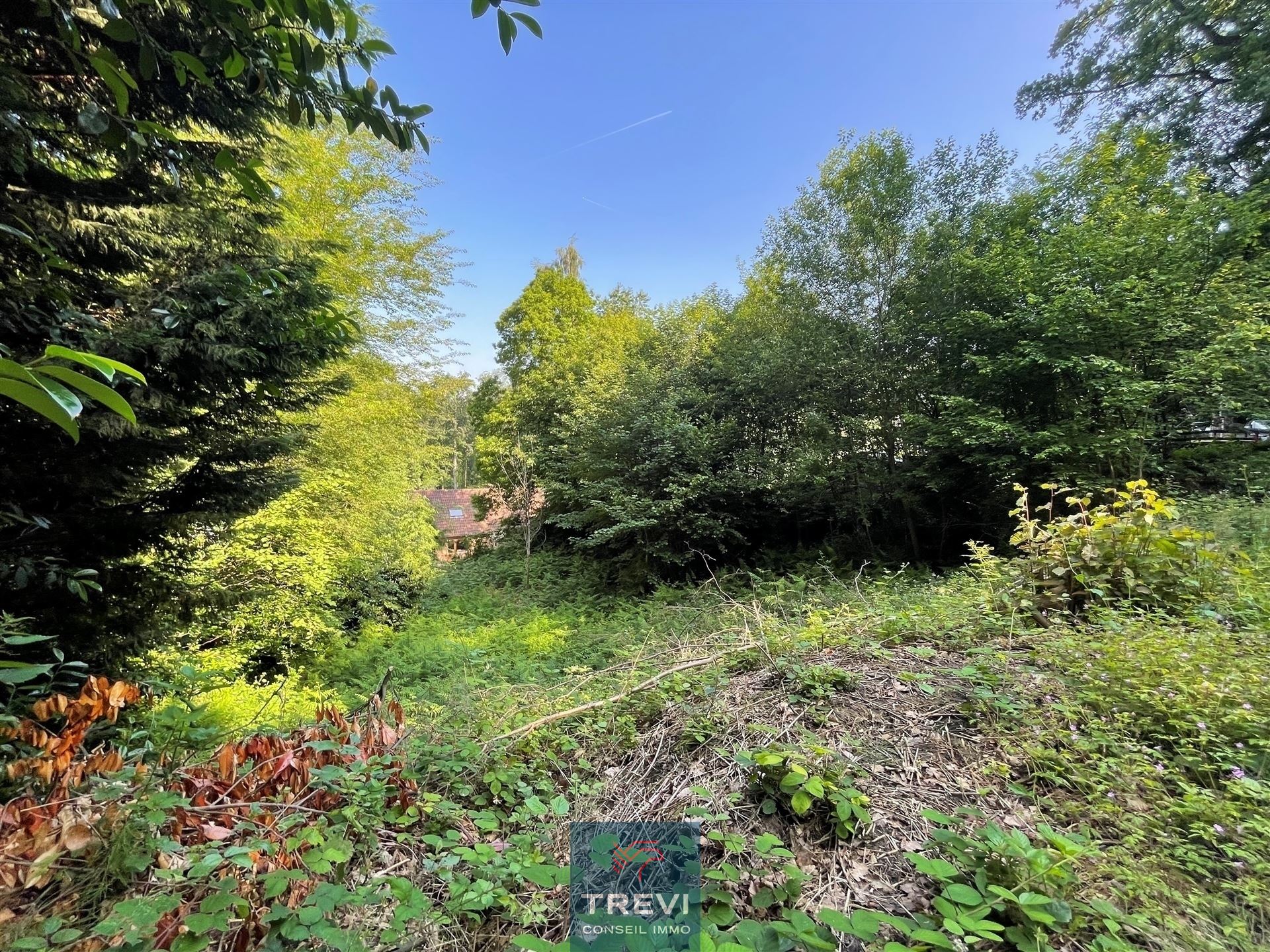 Grond te koop in Hennuyères - foto 1