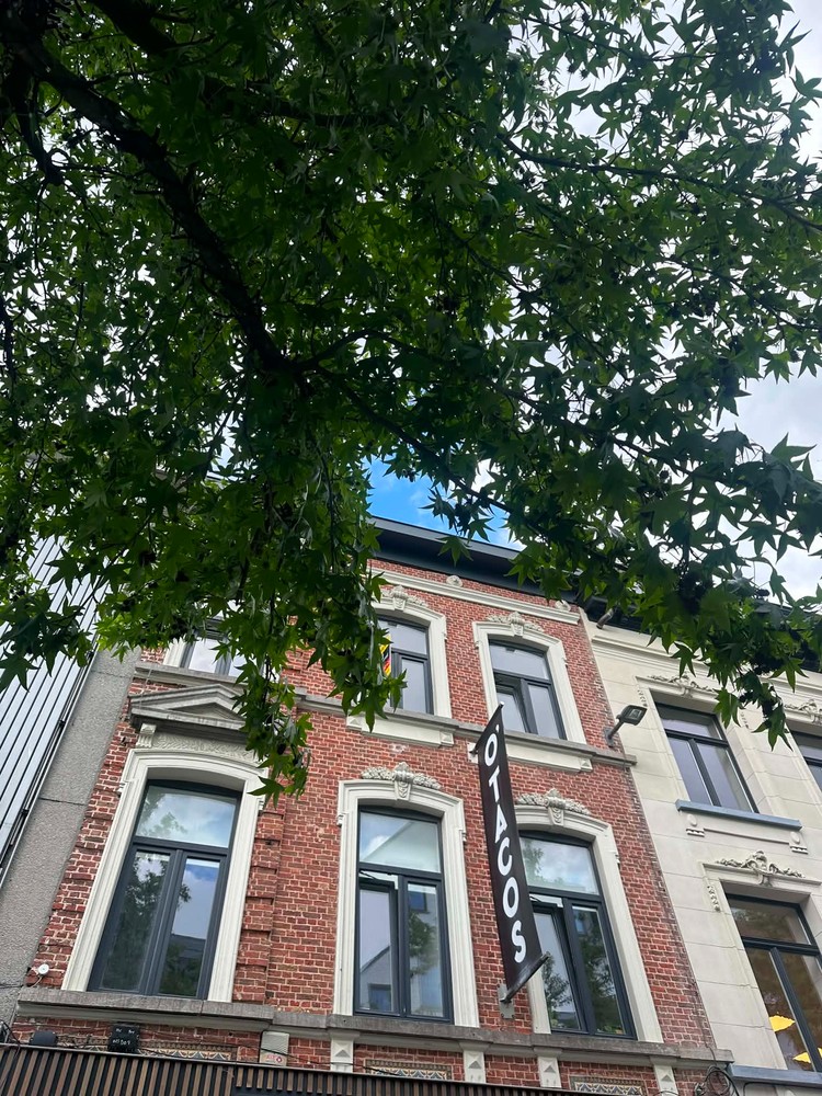 COMPLEET VERNIEUWDE DUPLEX MET ZEER RUIM ZONNIG TERRAS - foto 2
