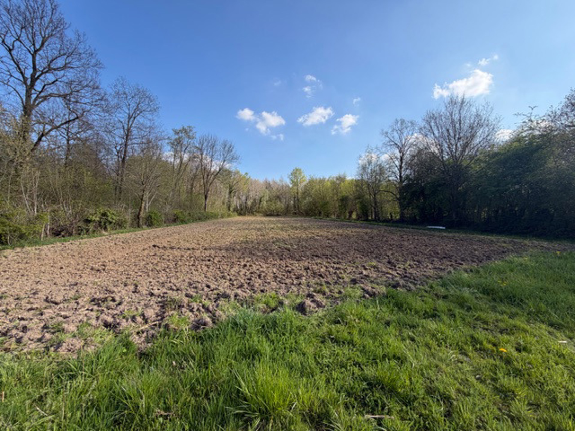  32 are landbouwgrond te Glabbeek - foto 2