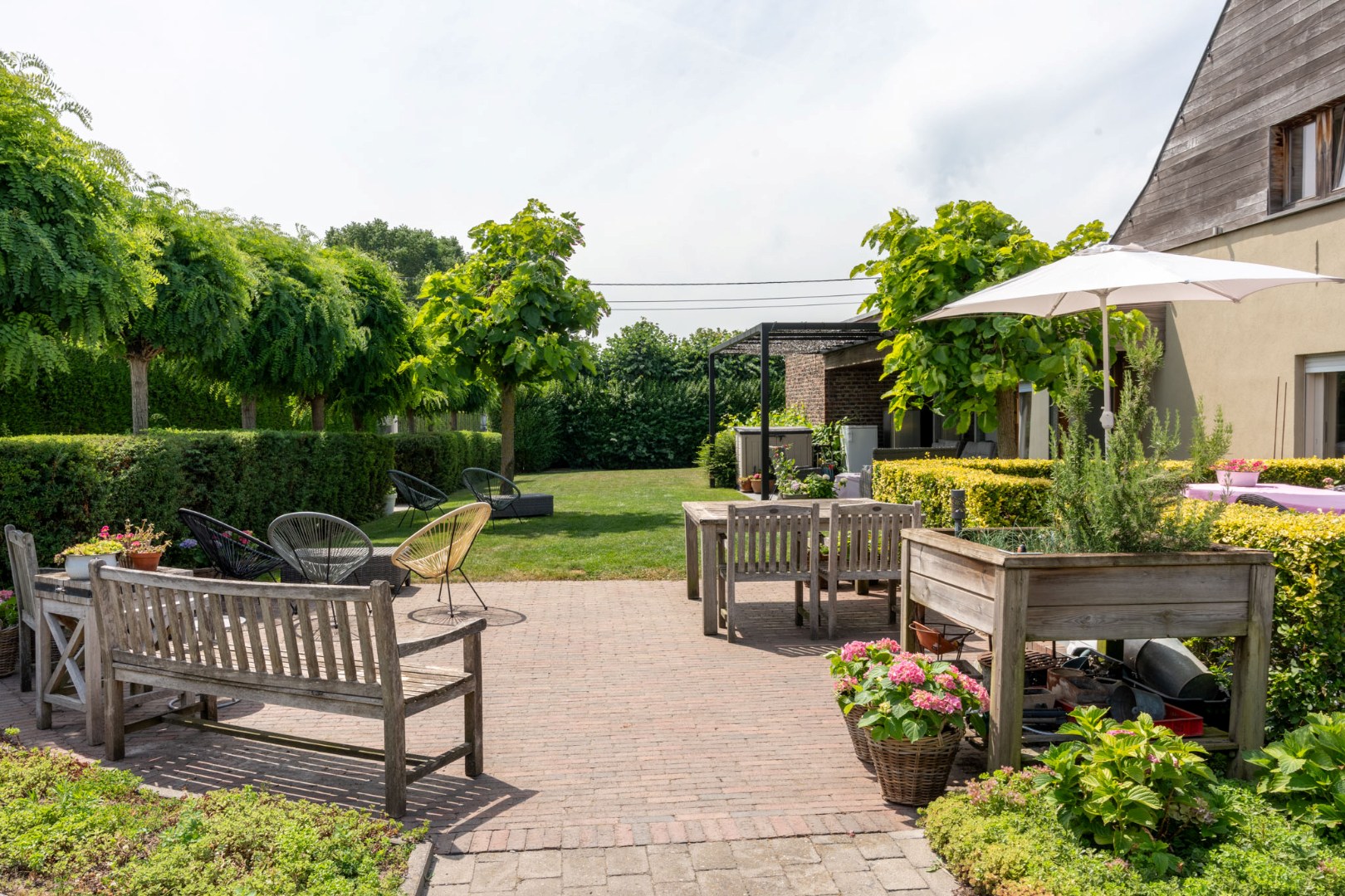 …