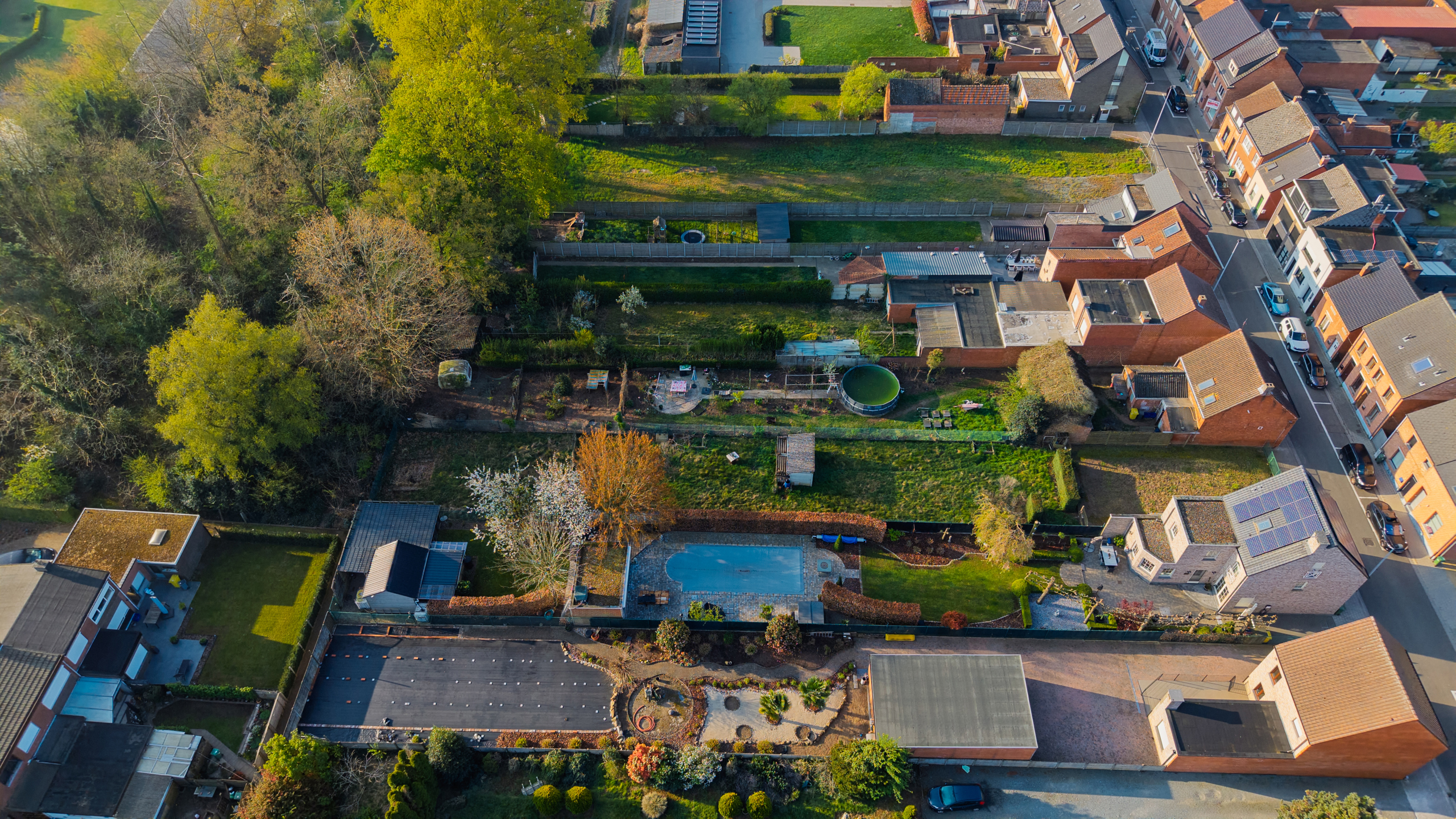 Grond te koop in Herenthout - foto 3