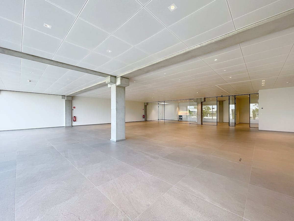 High- end nieuwbouw kantoor (333 m²) bij afrit E17 in Zele - foto 5