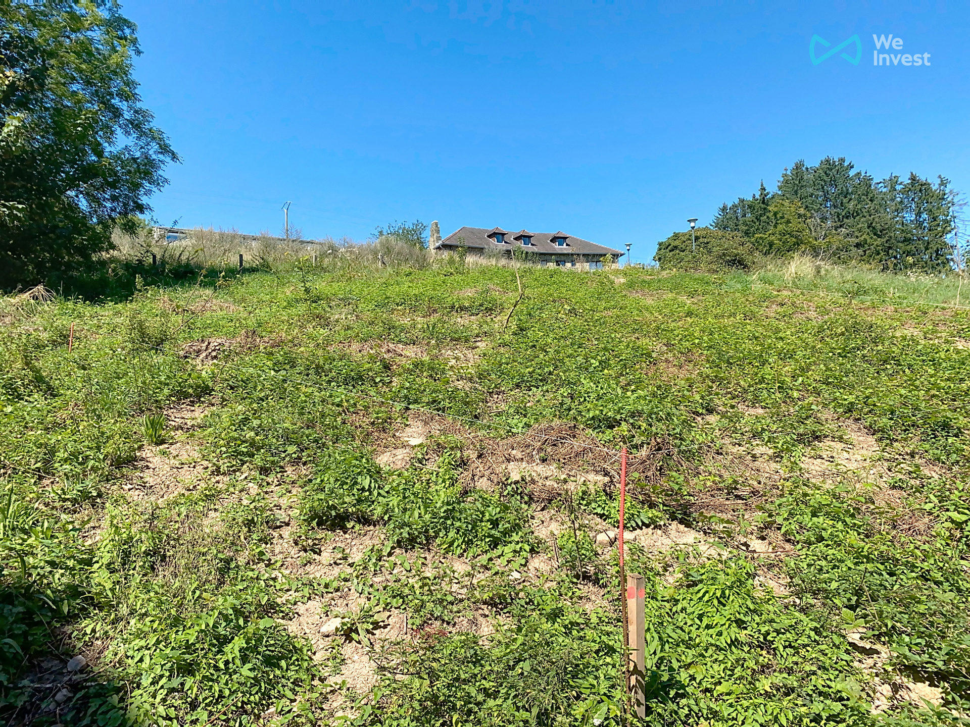 Land for sale in Ferrières - photo 4