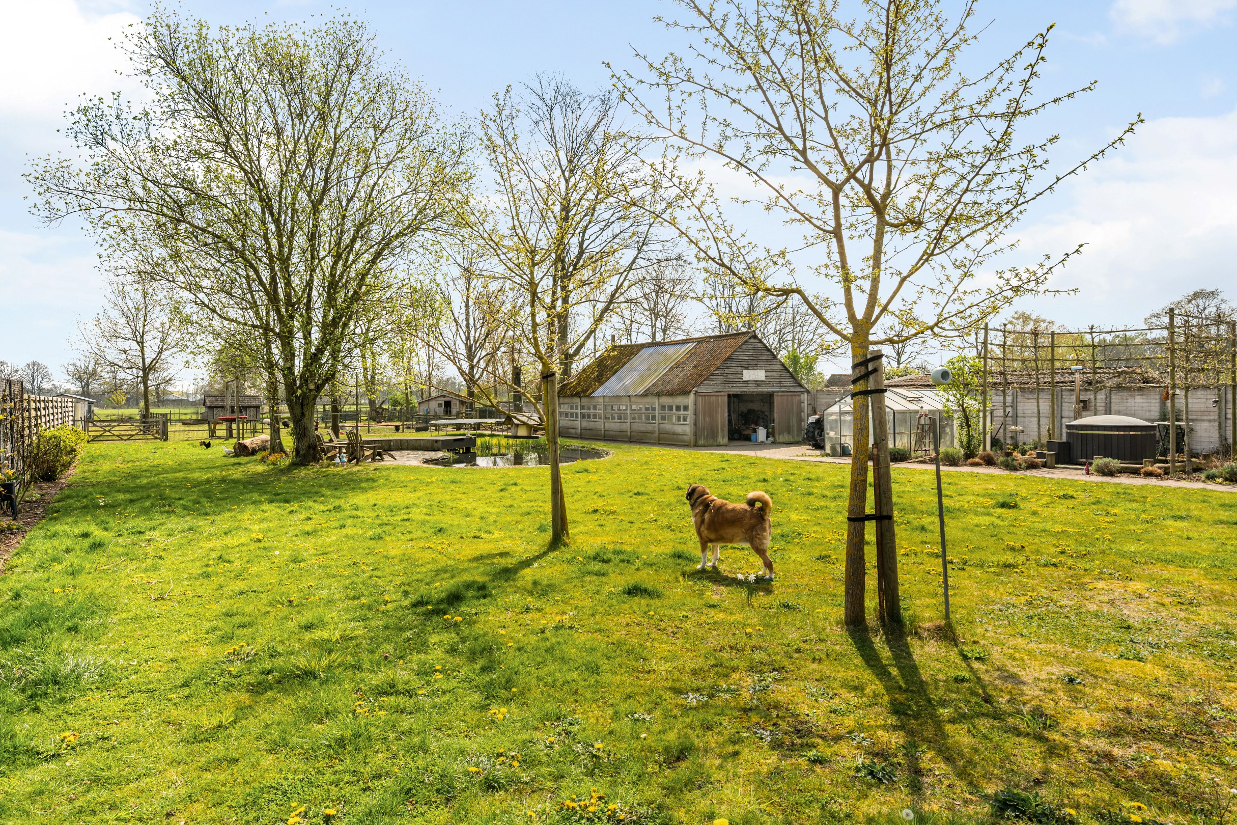 Prachtige villa met zicht over weilanden op  perceel van 1,1 Ha te Lommel - foto 2