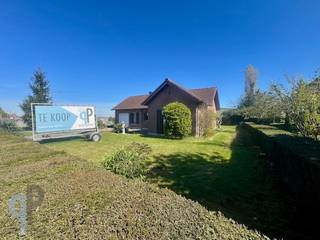 Langs een centrale ligging vinden we deze te vernieuwen open bebouwing van het type bungalow. Deze woning omvat een inkomhall met gastentoilet, lichtrijke leefruimte met achterliggende keuken en leefveranda. Verder is er een badkamer en 3 slaapkamers. Eveneens is er een garage/stookplaats met ruimte voor wasmachine en droogkast alsook te gebruiken als stockage of fietsenberging. Betaalbare woning als investering of starterswoning. Topper ! Voor meer inlichtingen of een bezoek, contacteer Veronique 0483/676579