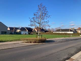 Deze bouwgrond in Veldegem, deelgemeente van Zedelgem geniet van een goede locatie nabij het centrum. Je woont er in de buurt van scholen (basisschool op 500 m), winkels (supermarkt op 800 m) en openbaar vervoer (bushalte op 500 m). Bovendien geniet je via de E403 en E40 van een perfecte verbinding met de belangrijkste steden van het land. 
Dit perceel is bestemd voor open bebouwing. De ruime stedenbouwkundige voorschriften (1 of 2 bouwlagen, vlak of hellend dak) bieden je tal van mogelijkheden. We bouwen hier jouw nieuwe, energiezuinige woning volledig op maat, tegen een vaste prijs.
Een kijkje nemen? Je vindt de bouwgrond ter hoogte van Halfuurdreef 56. Contacteer Dominic en ontdek alle mogelijkheden.