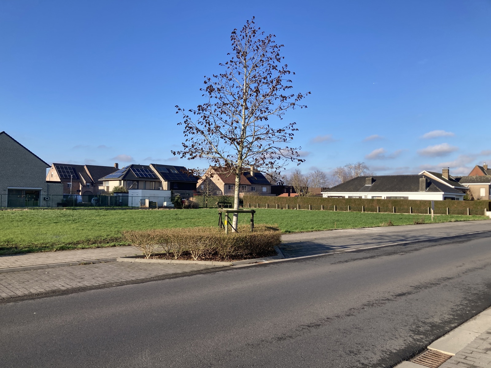 Projet à vendre à Veldegem - photo 3