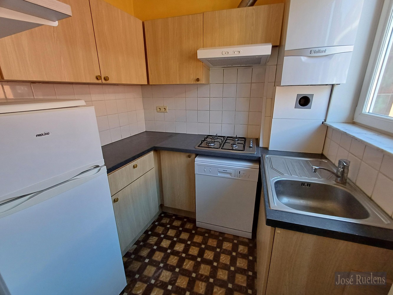 Burgerwoning met garage en terras - foto 4