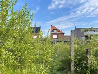 Dankzij de ligging ben je binnen de tien minuten in centrum, de dijk en heb je vlotte connectie naar A12.Winkels, openbaar vervoer, scholen, .....