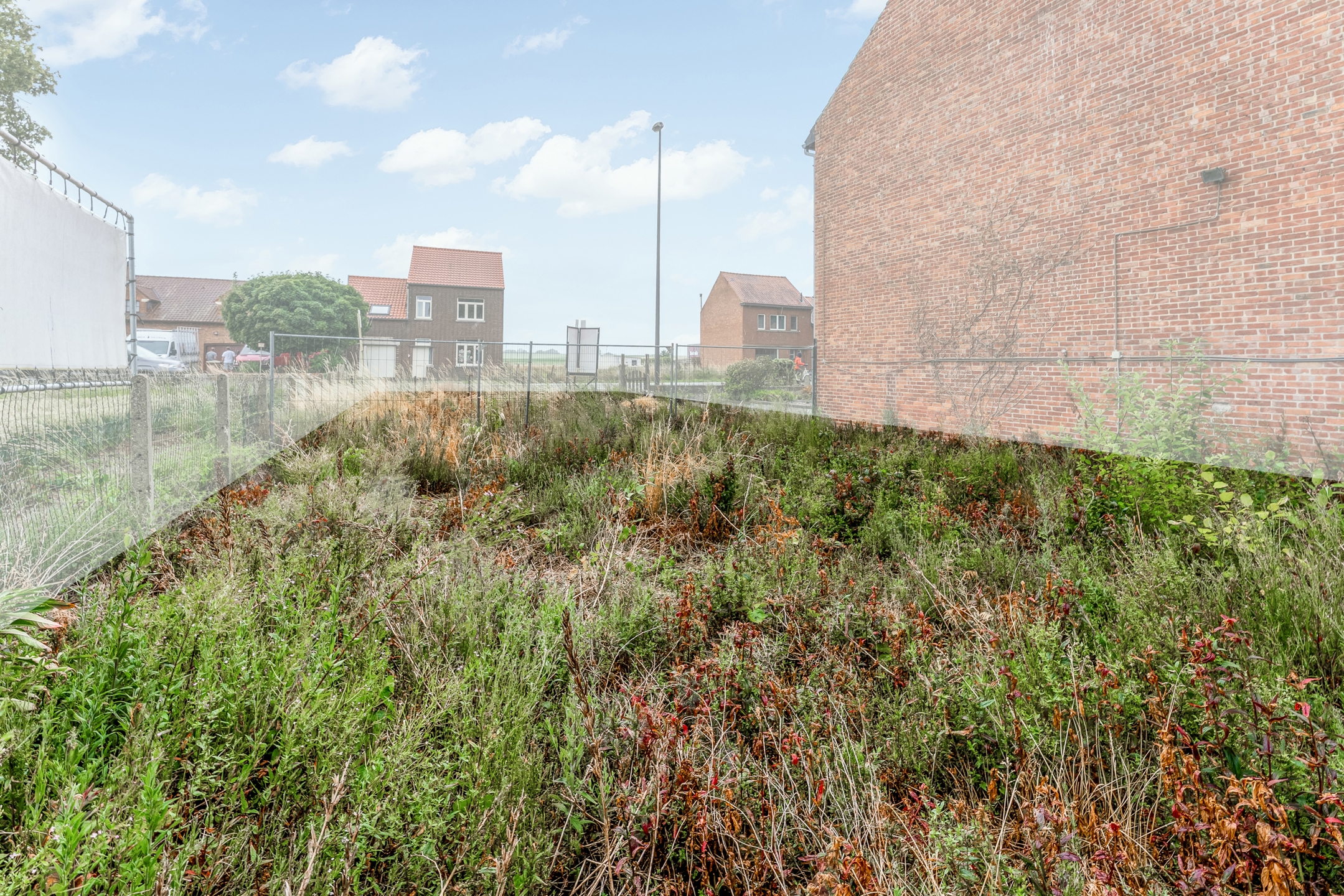 Land for sale in Riemst - photo 4