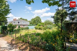 Perceel grond van 549m² in een rustige woonwijk met heel wat groen. Het centrum van Wondelgem is om de hoek: winkels en openbaar vervoer zijn in de nabijheid. Met de auto ben je snel op weg door de vlotte verbinding met de R4. Met de fiets ben je op een kleine 20 min in het centrum van Gent.
(verwijzingen naar bouwgrond zijn steeds indicatief. Voor het bebouwen van een grond dient u uiteraard te beschikken over een gunstig stedenbouwkundig advies.)