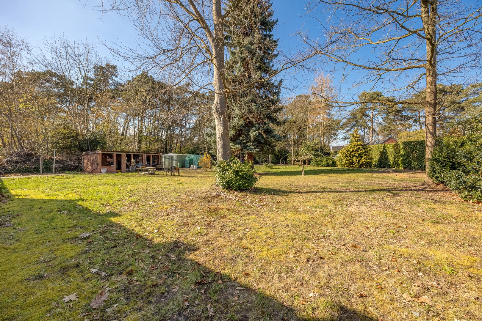Vrijstaande woning met veel ruimte, omgeven door groen. - foto 5